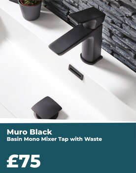Black Basin Mono Mixer Tap with waste