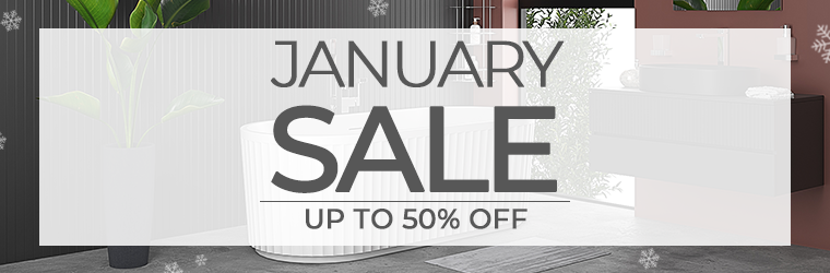 January Sale Banner - 2025