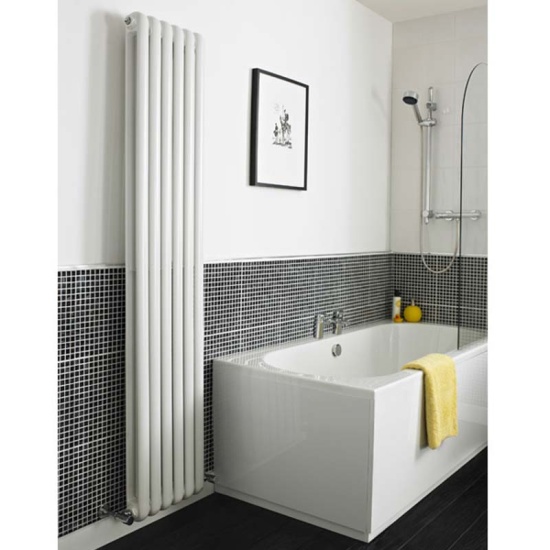 High White Gloss Salvia Double Panel Radiator