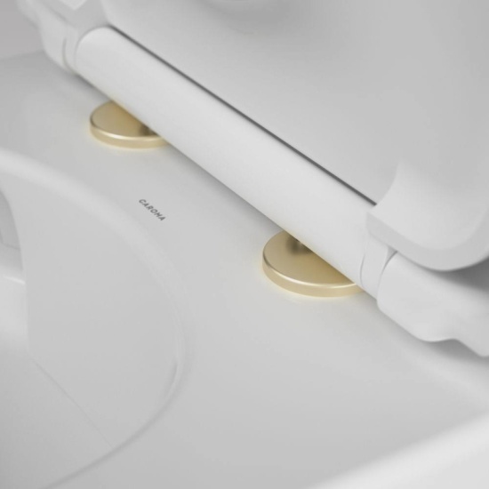 Lifestyle Image of Toilet Seat Hinge Cover Caps