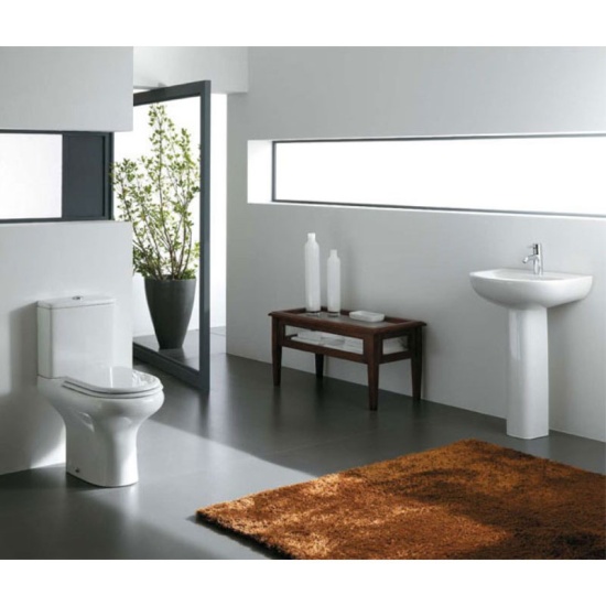 Compact 460 WashBasin & Pedestal