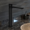 Jaquar Opal Black Tall Tap