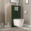 Alani 600 Cloakroom Suite Green