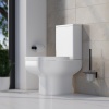 Sullivan Close Coupled Small Toilet