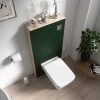 alani 600 cloakroom suite green