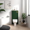 alani 600 cloakroom suite green