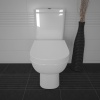 RAK Series 600 Cistern with Chrome Flush Button and Close Coupled Pan  