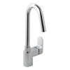 Life Mono Sink MixerWith Swivel Spout